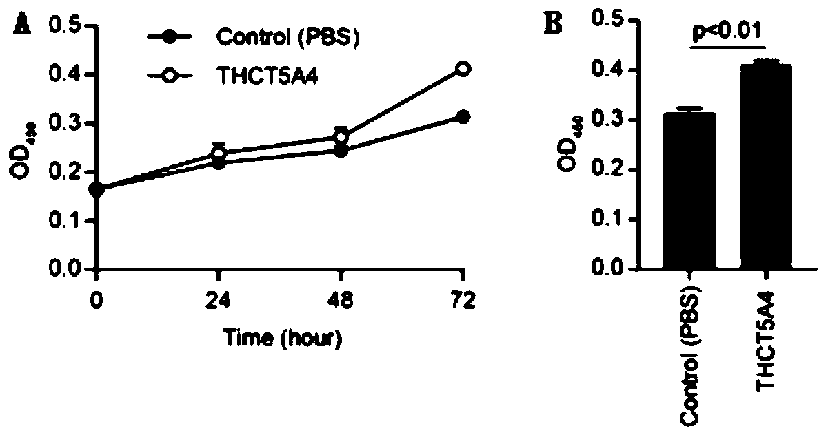 Fusobacterium nucleatum subsp.animalis strain and application thereof