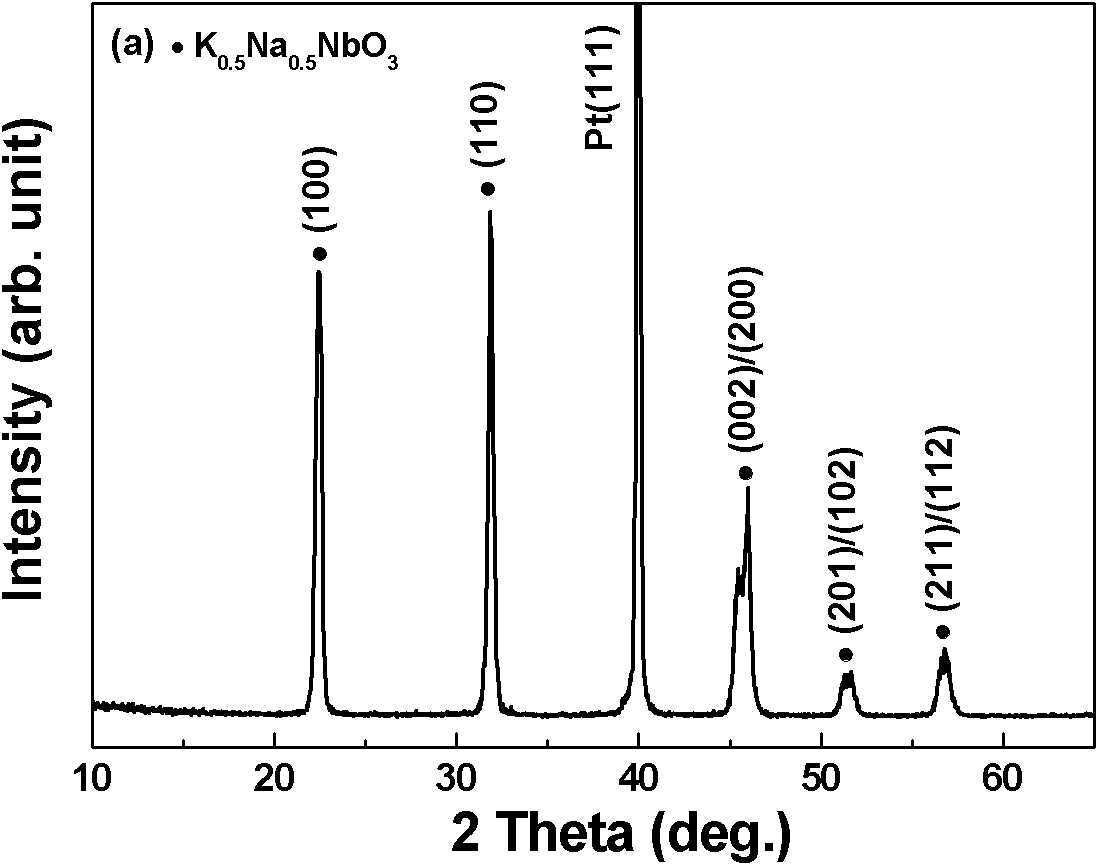 Method for preparing potassium-sodiumniobate lead-free piezoelectric thick film