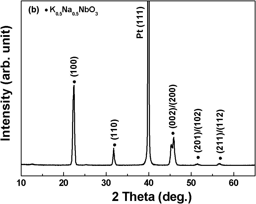 Method for preparing potassium-sodiumniobate lead-free piezoelectric thick film