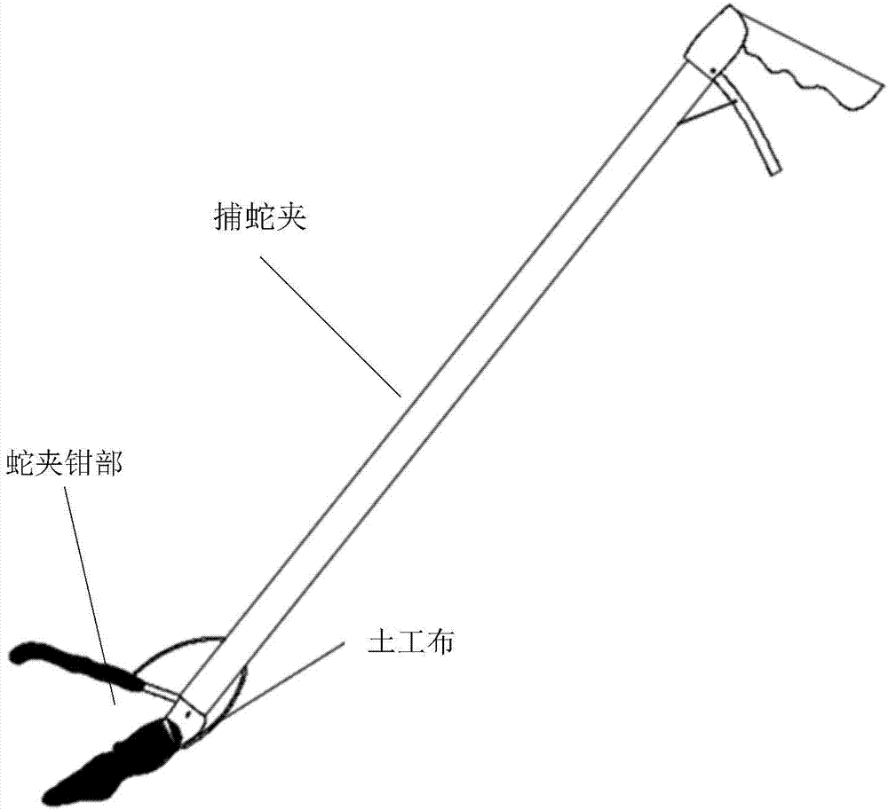 Method for planting submerged vegetation Vallisneria denseserrulata in medium-subsidence wetland of coal mining subsidence area