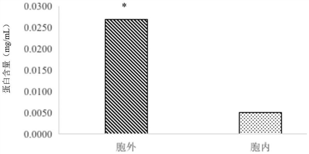 Bacillus cereus X-32 with high yield of C21 steroid compound and application of bacillus cereus X-32