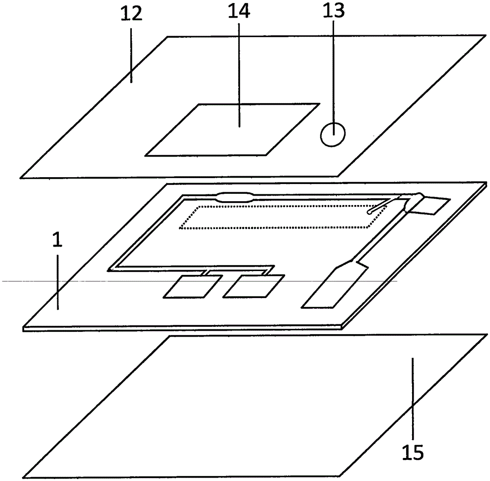 Magnetic particle chemiluminescence micro-fluidic chip used for whole-blood sample detection