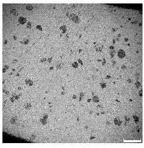 Preparation method of silicon carbide-based composite material mechanical sealing sliding part