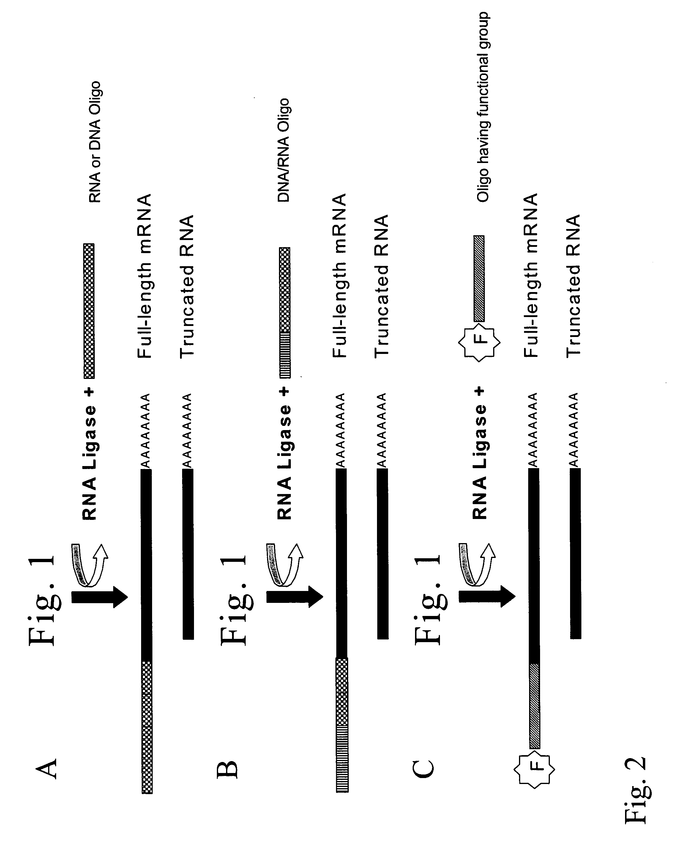 Method for modifying RNAS and preparing DNAS from RNAS