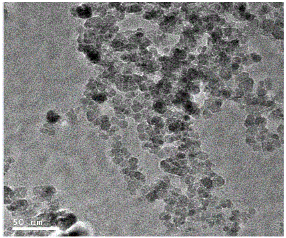 Preparing method of ferroferric oxide nanometer particles