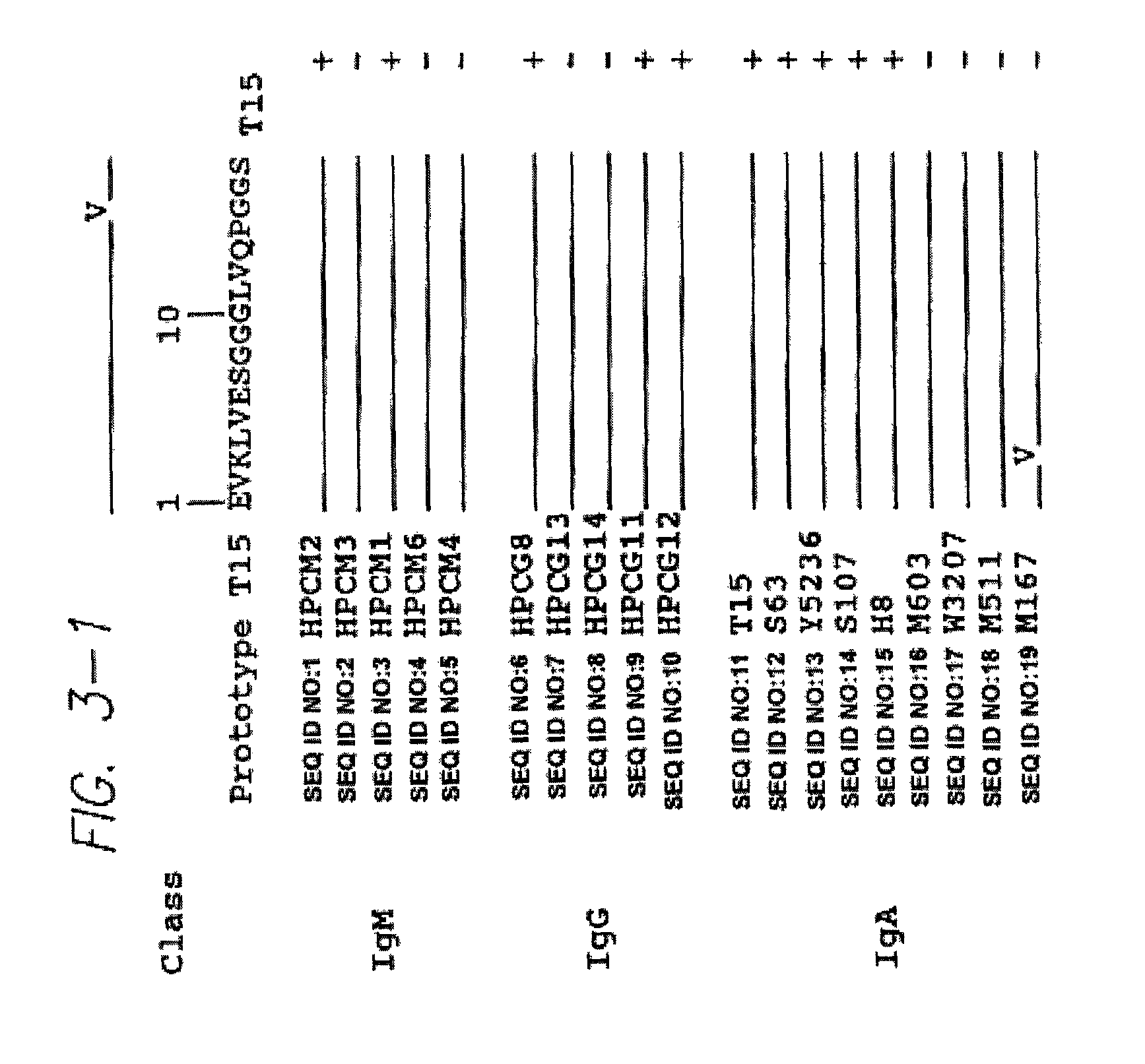 Method for tapping the immunological repertoire