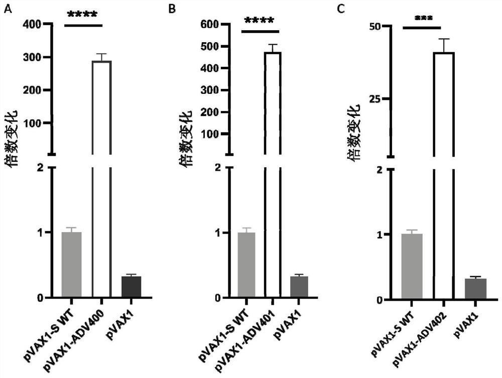 Nucleotide sequence for encoding novel coronavirus antigen and application of nucleotide sequence