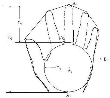 A Hand Type Classification Method Based on Image Processing