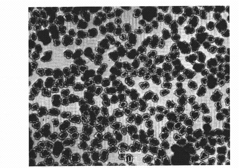 A kind of preparation method of non-agglomerated submicron nickel ferrite magnetic carrier