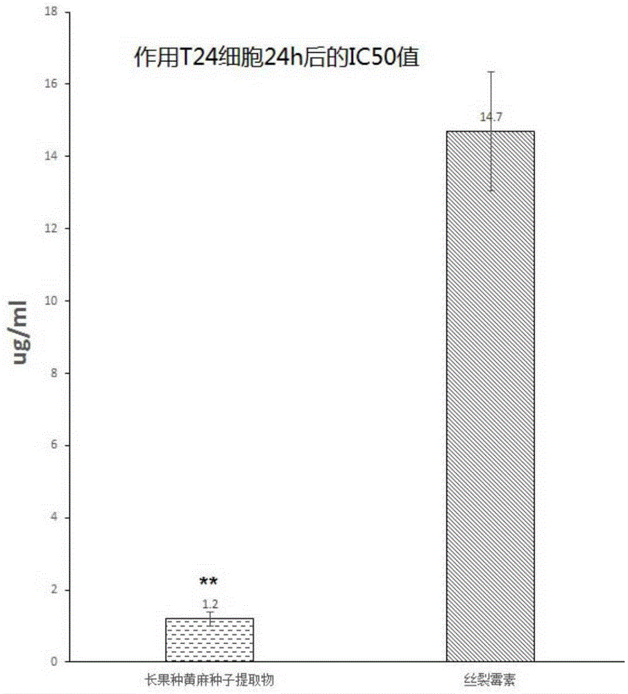 Preparation method of corchorus olitorius seed extract and application