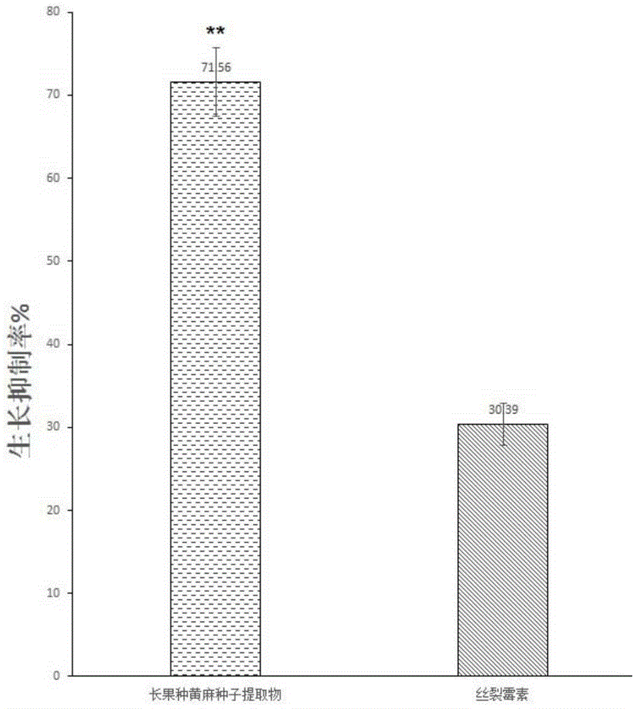 Preparation method of corchorus olitorius seed extract and application