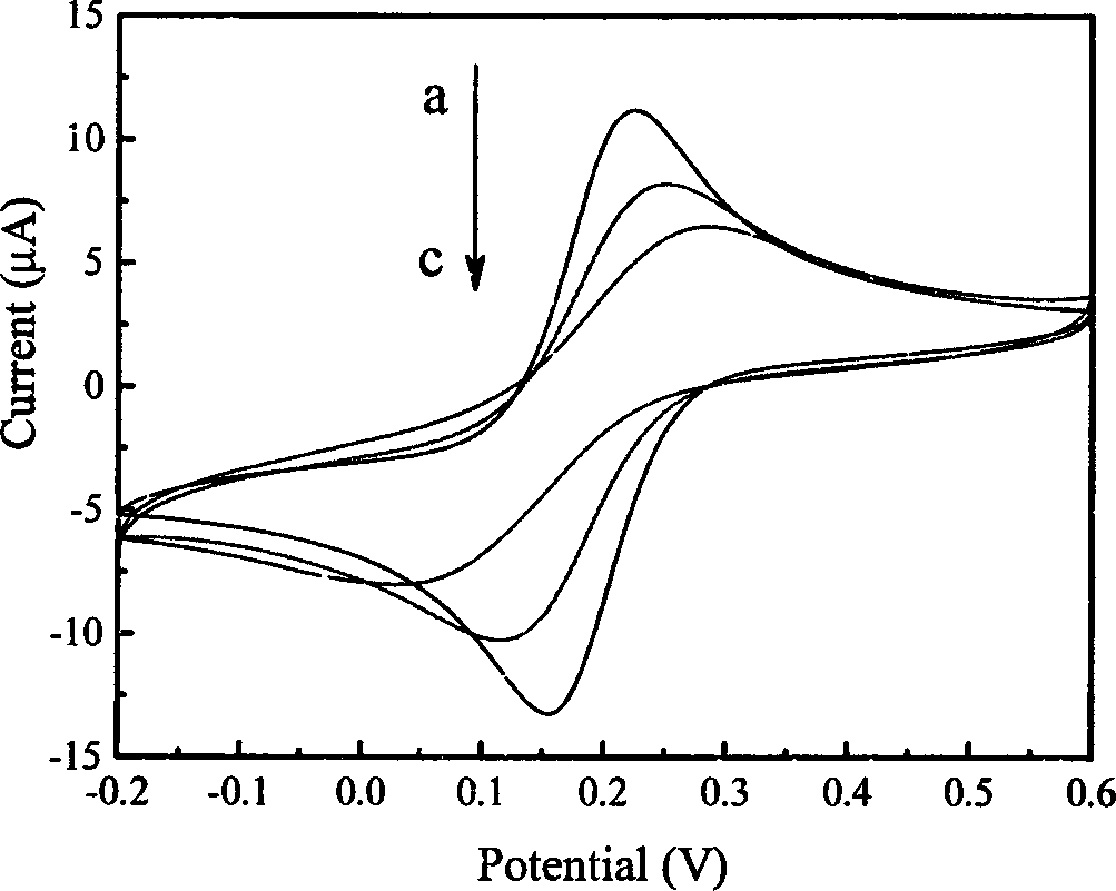 Preparation method of novel escherichia coli electrochemical sensor