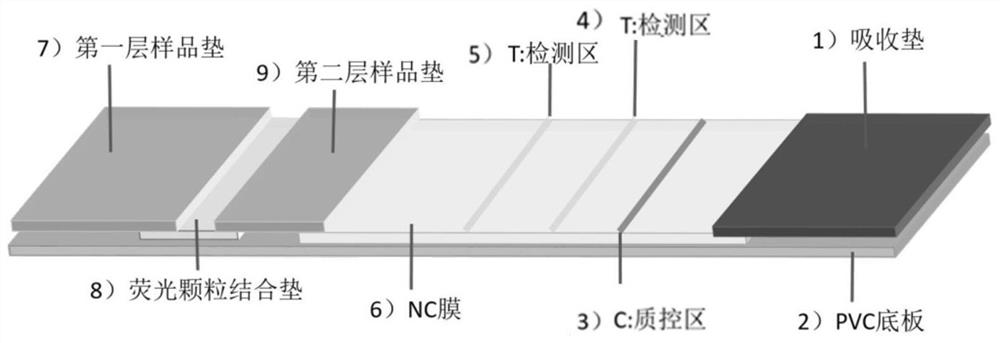 Test strip for combined detection of CRP and SAA, kit and preparation method