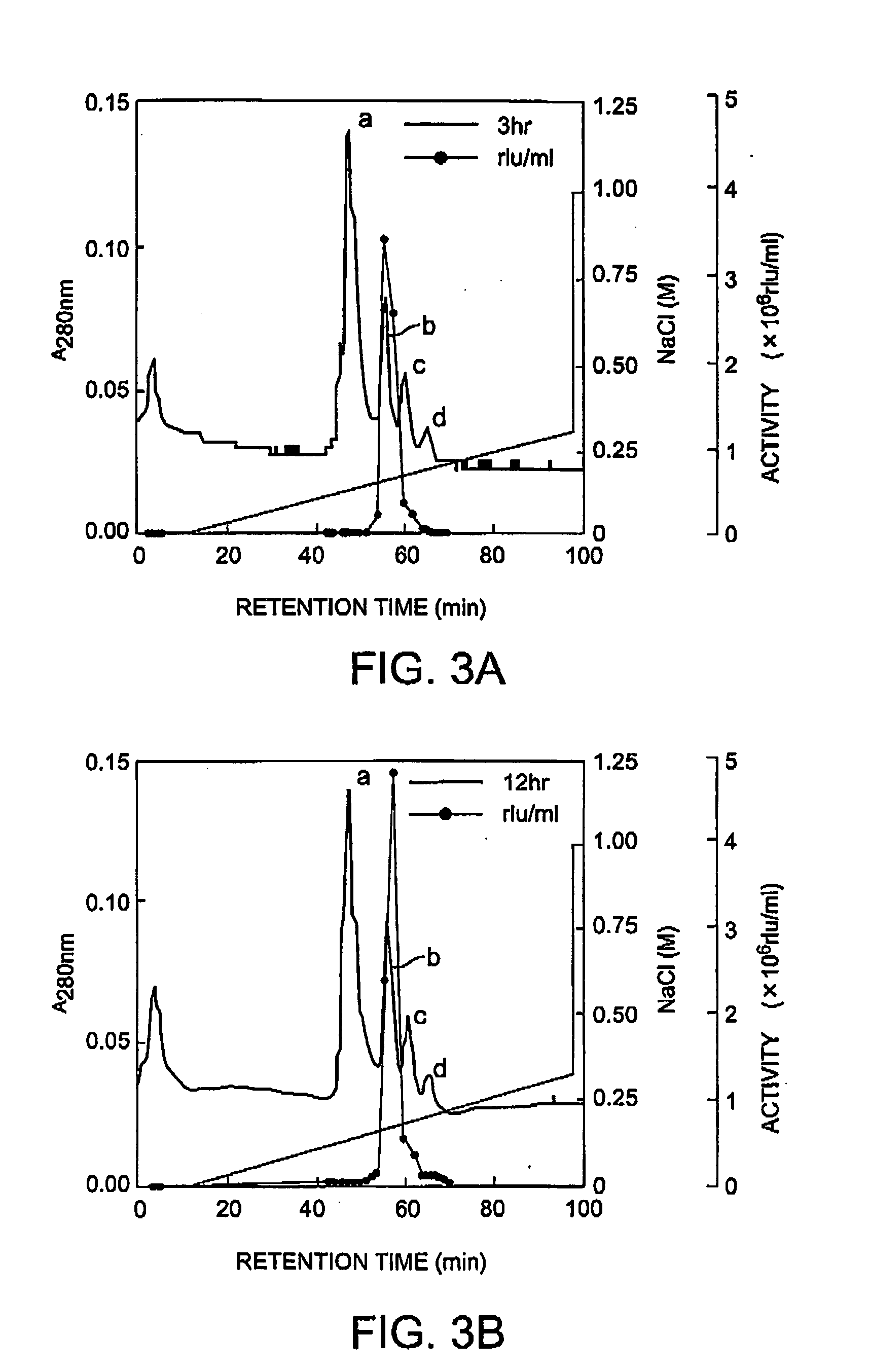 Method of isolating and purifying aequorin, aequorin produced by the method, and process for detecting calcium ions with aequorin