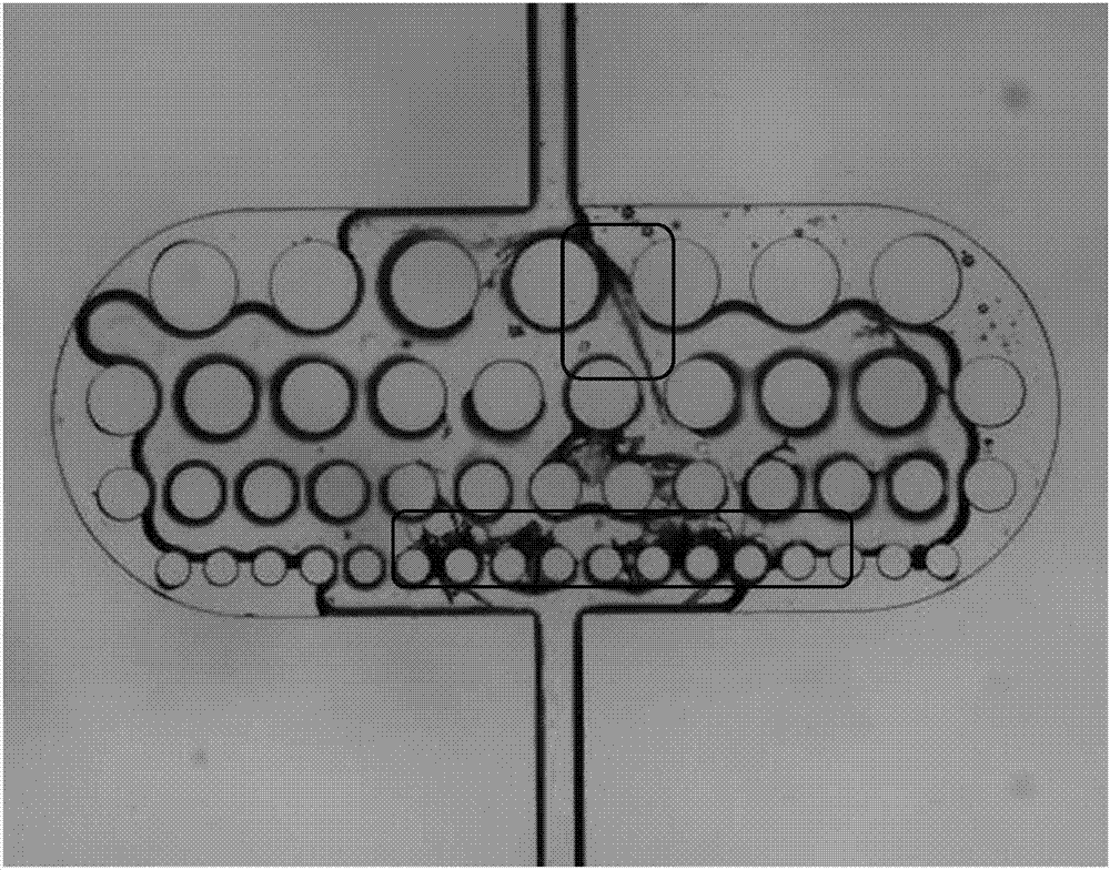 Micro-channel filter tank with four levels of spacing-decreasing multi-cylindrical array structures