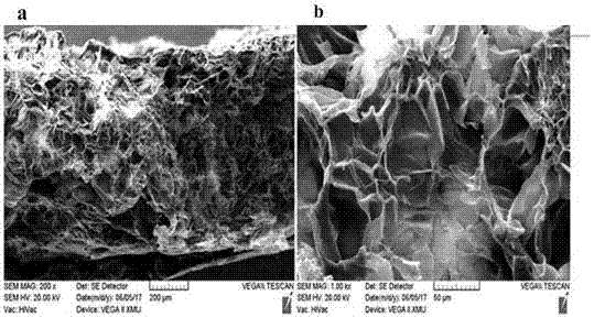 Preparation method of biodegradable hydrogel scaffold material used for heart repair