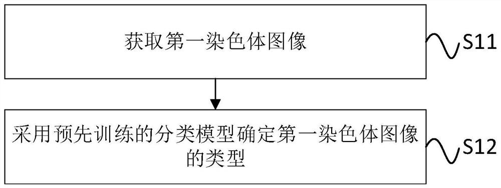 Chromosome cluster and chromosome instance identification method and system and storage medium