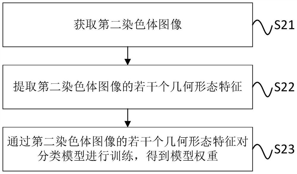 Chromosome cluster and chromosome instance identification method and system and storage medium