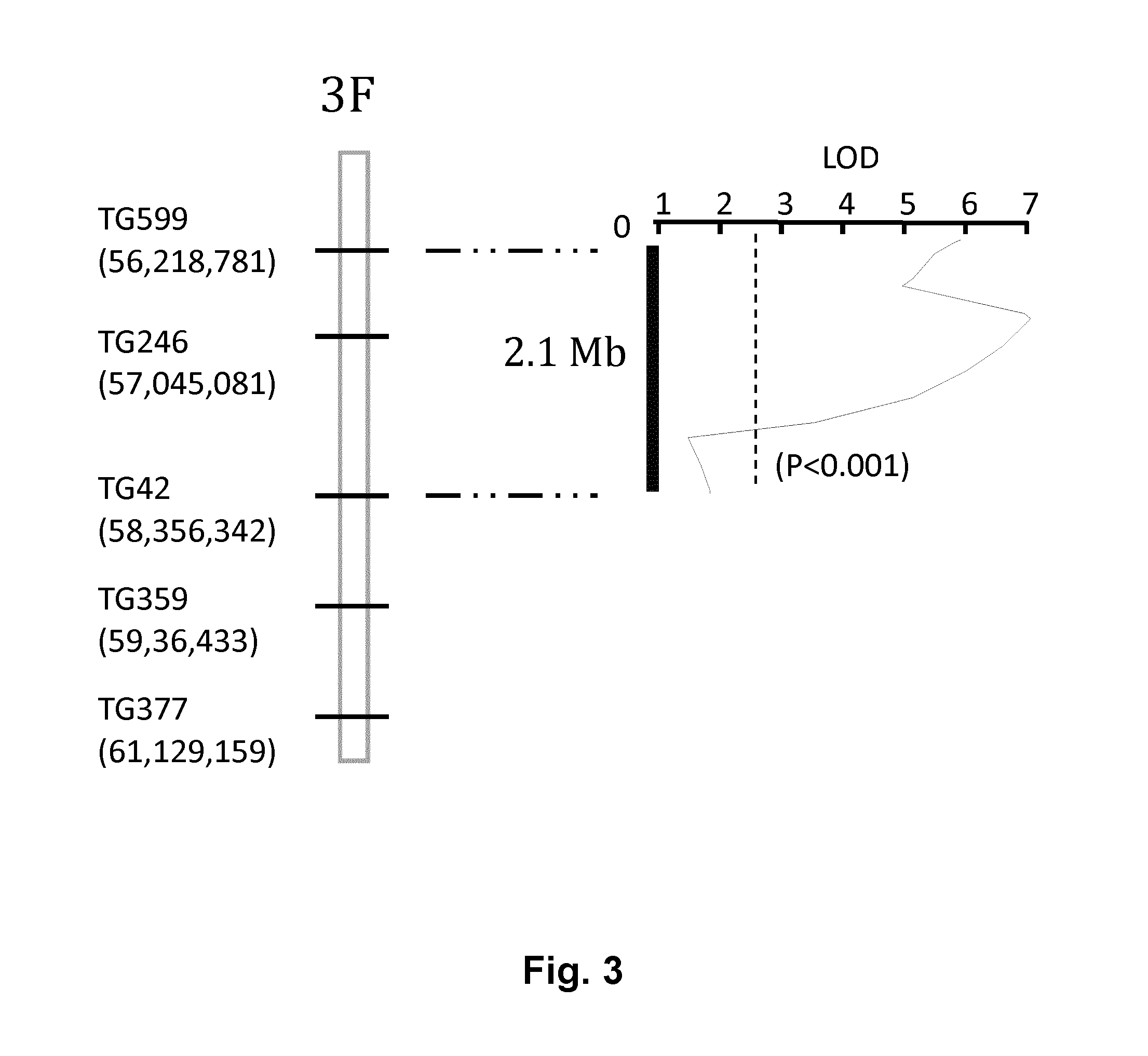 QTL Responsible for Tomato Fruit Firmness