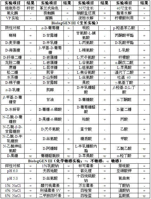 Pseudomonas stutzeri and culture application thereof