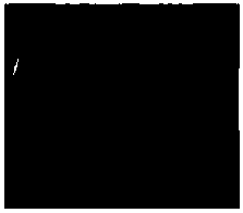 Pediococcus acidilactici AAF 3-3 and usage thereof