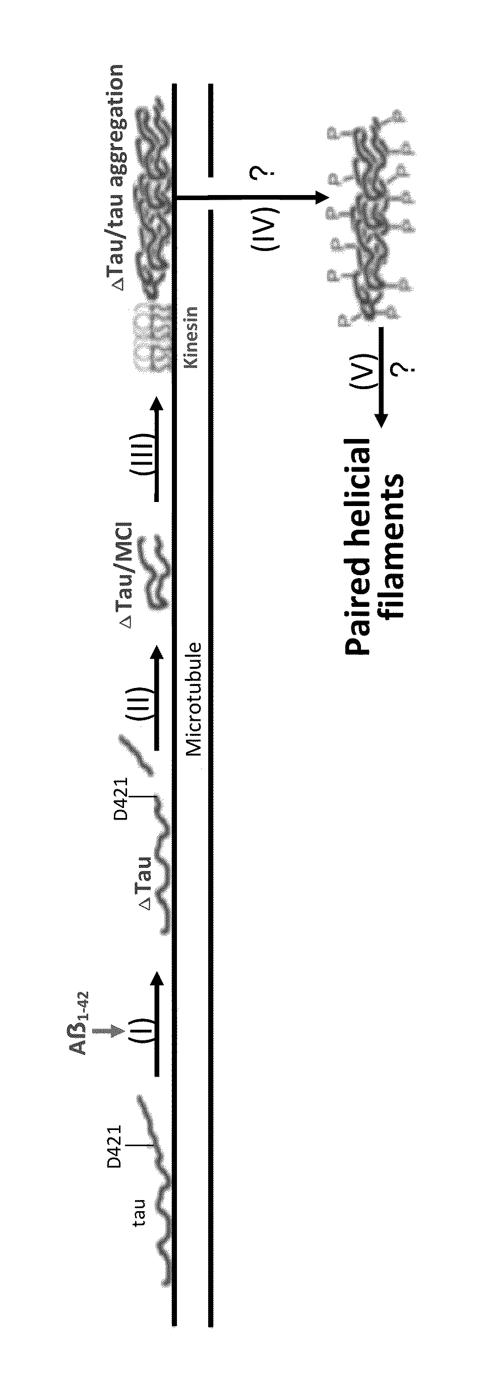 Treatment of tauopathies