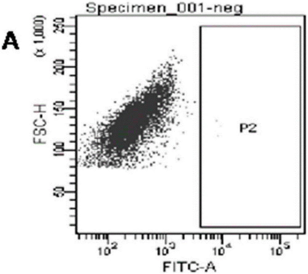 Method for promoting reprogramming of mouse fibroblasts into myocardial cells under low oxygen conditions