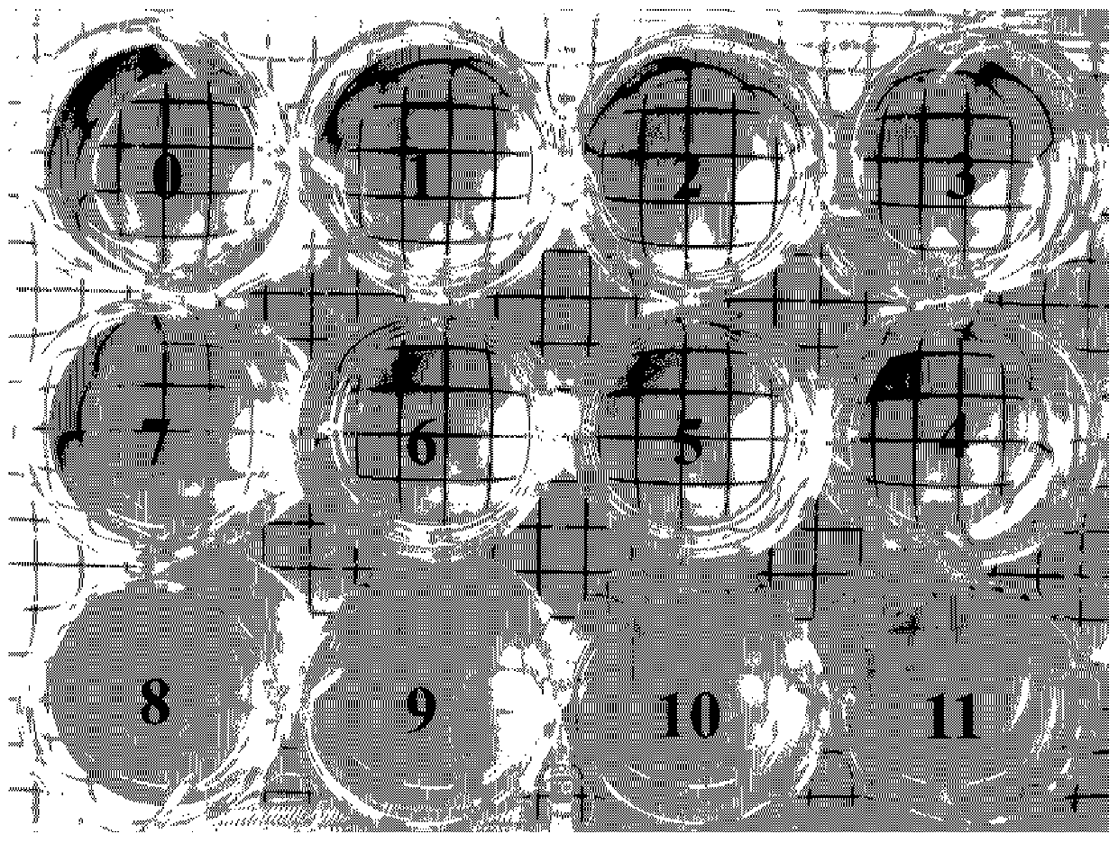 A kind of preparation method of reactive gemini quaternary ammonium salt leather fungicide