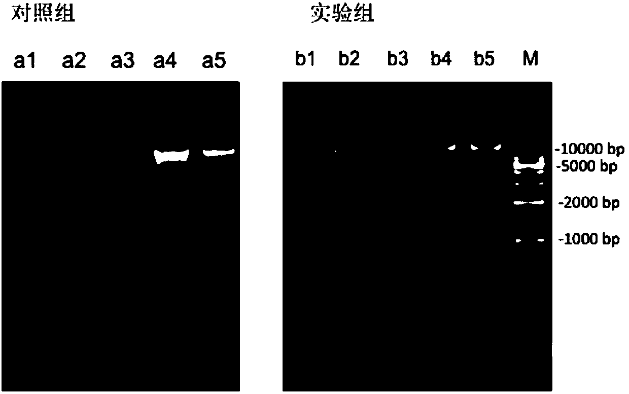 Method for extracting microbial metagenome DNA from intestinal tract content