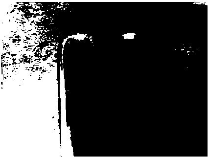 Method for rapidly preparing black phosphorus by crystal nucleus assisted high temperature difference manner