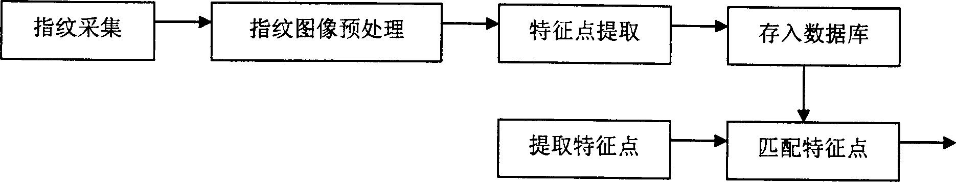 Insert finger-print-enciphering identifying apparatus and finger-print-enciphering identifying method