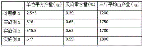 Cultivation method imitating wild conditions for Gastrodia elata Bl. f. glauca S. Chow