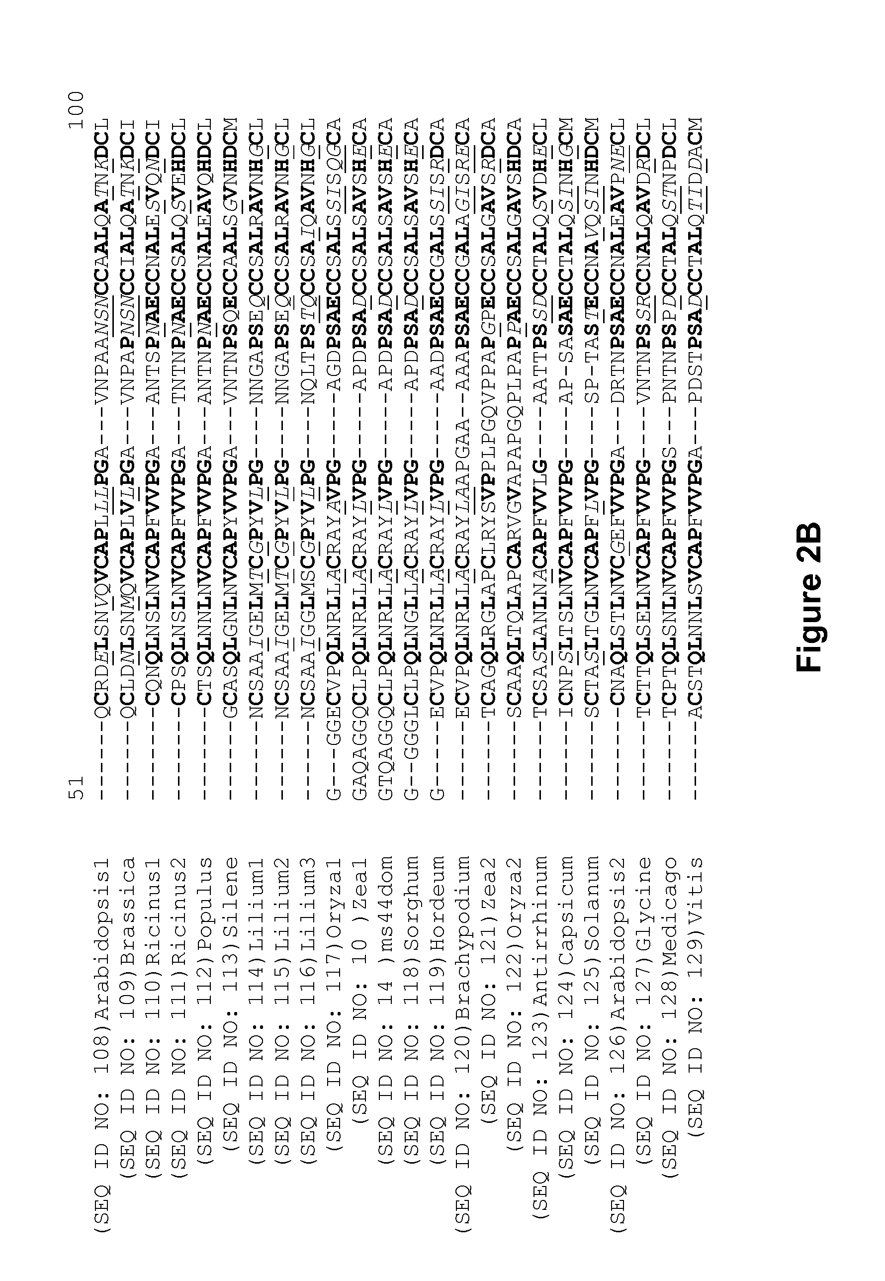 Genetic reduction of male fertility in plants