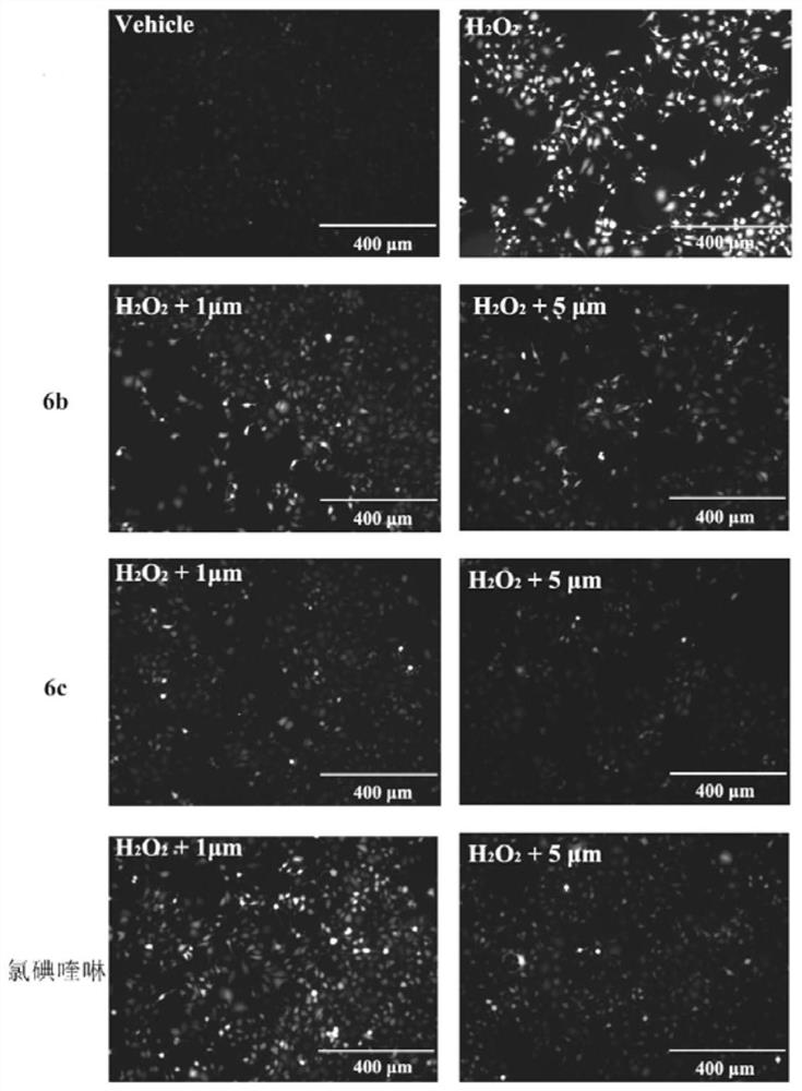 Quinoline tryptamine hybrid and its application in the preparation of drugs for the treatment of Alzheimer's disease