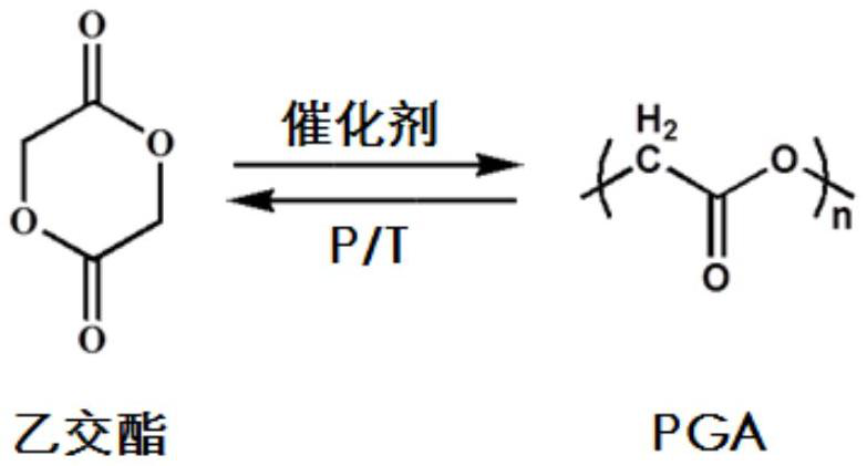 Catalyst composition for preparing polyglycolide and preparation method of polyglycolide