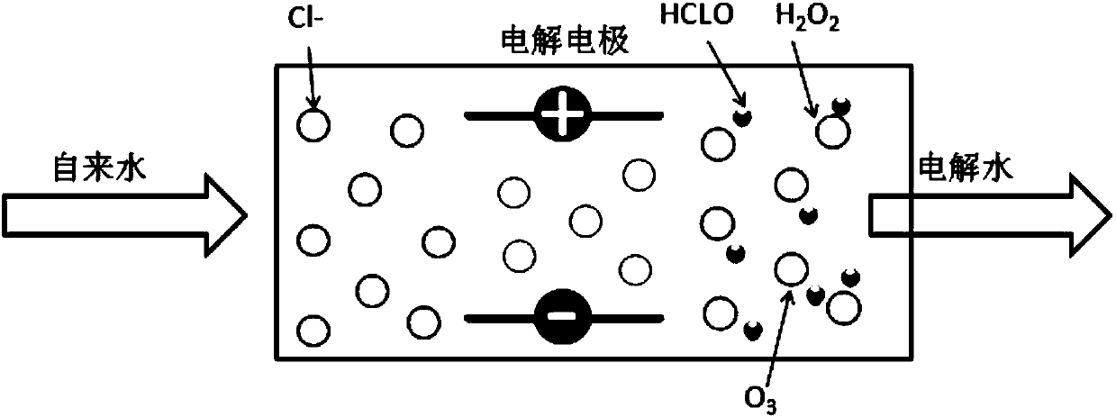 Electrolyzed water sterilization device and sterilization method