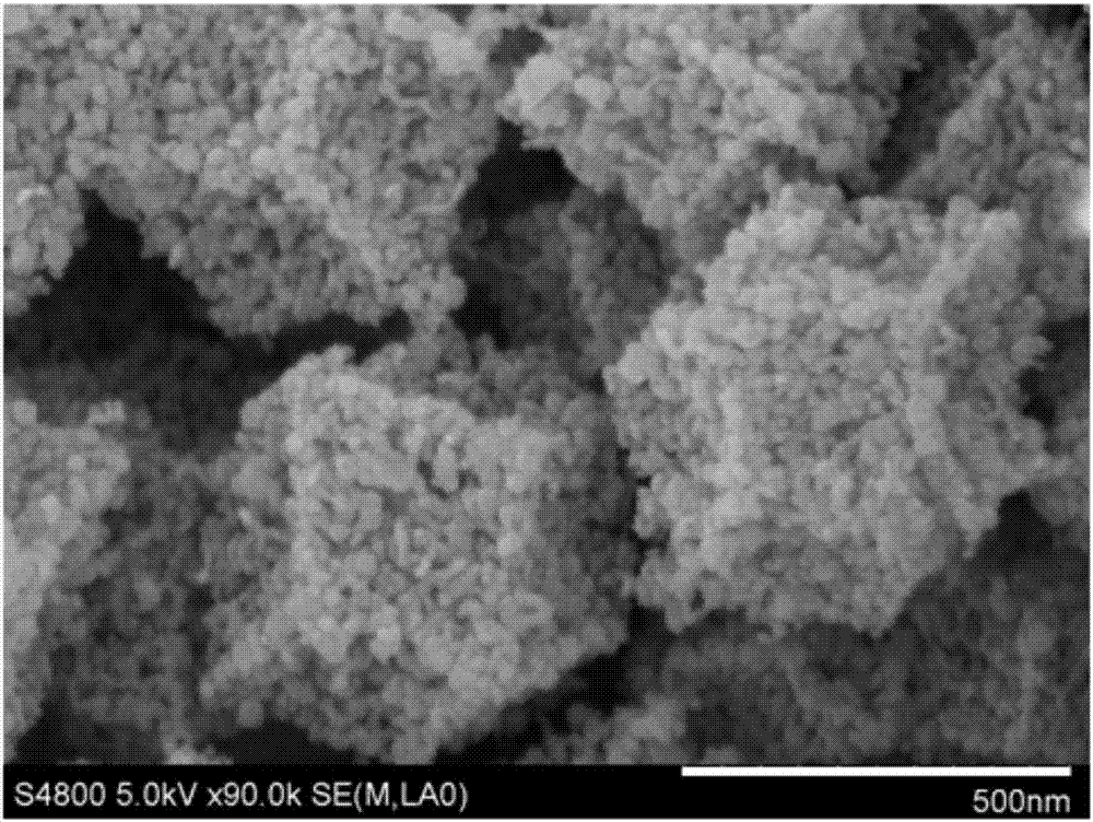 Difunctional oxygen catalyst cobalt/cobaltosic oxide/nitrogen carbon composite material and preparation method thereof