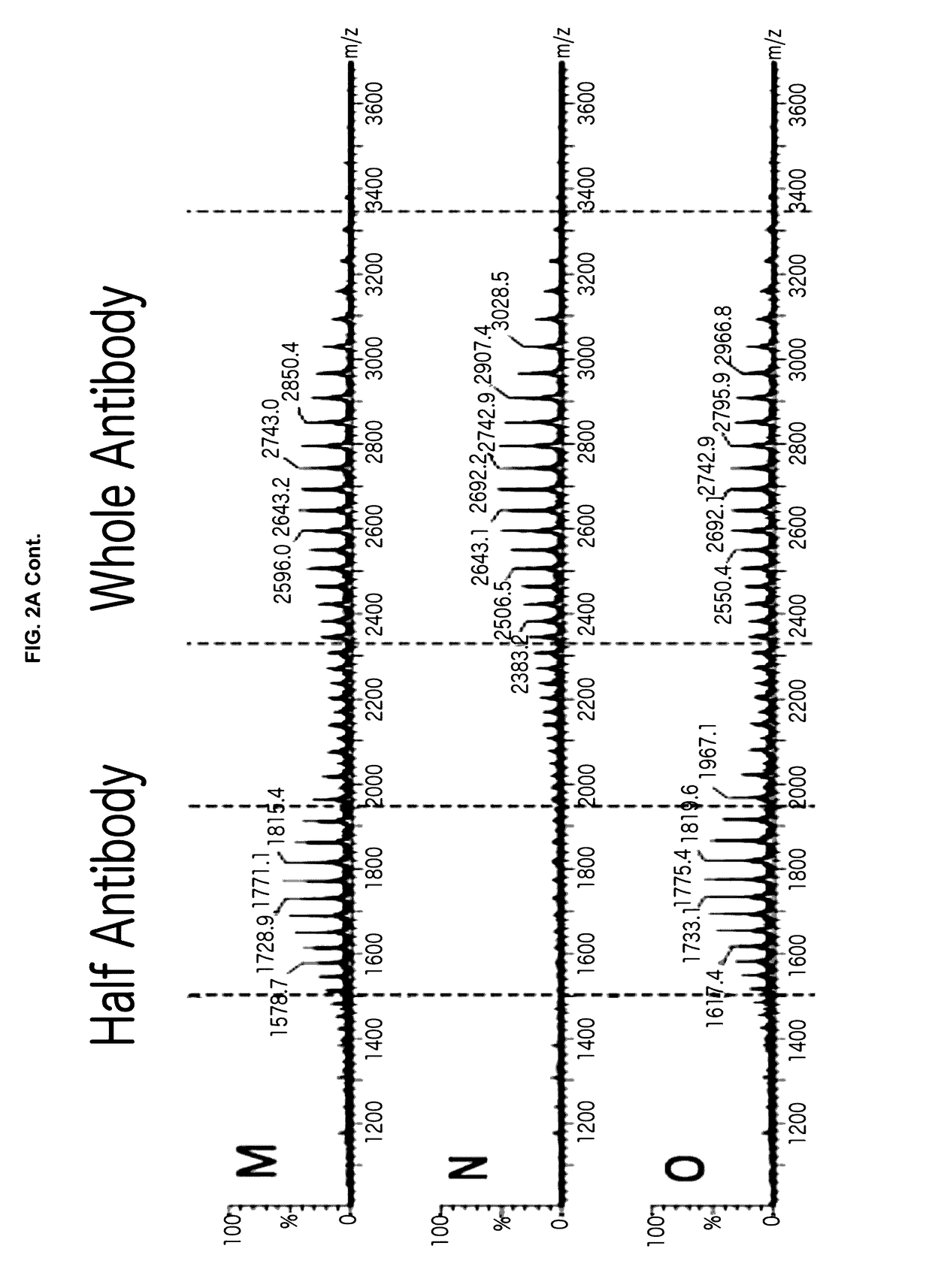 Process and methods for efficient manufacturing of highly pure asymmetric antibodies in mammalian cells