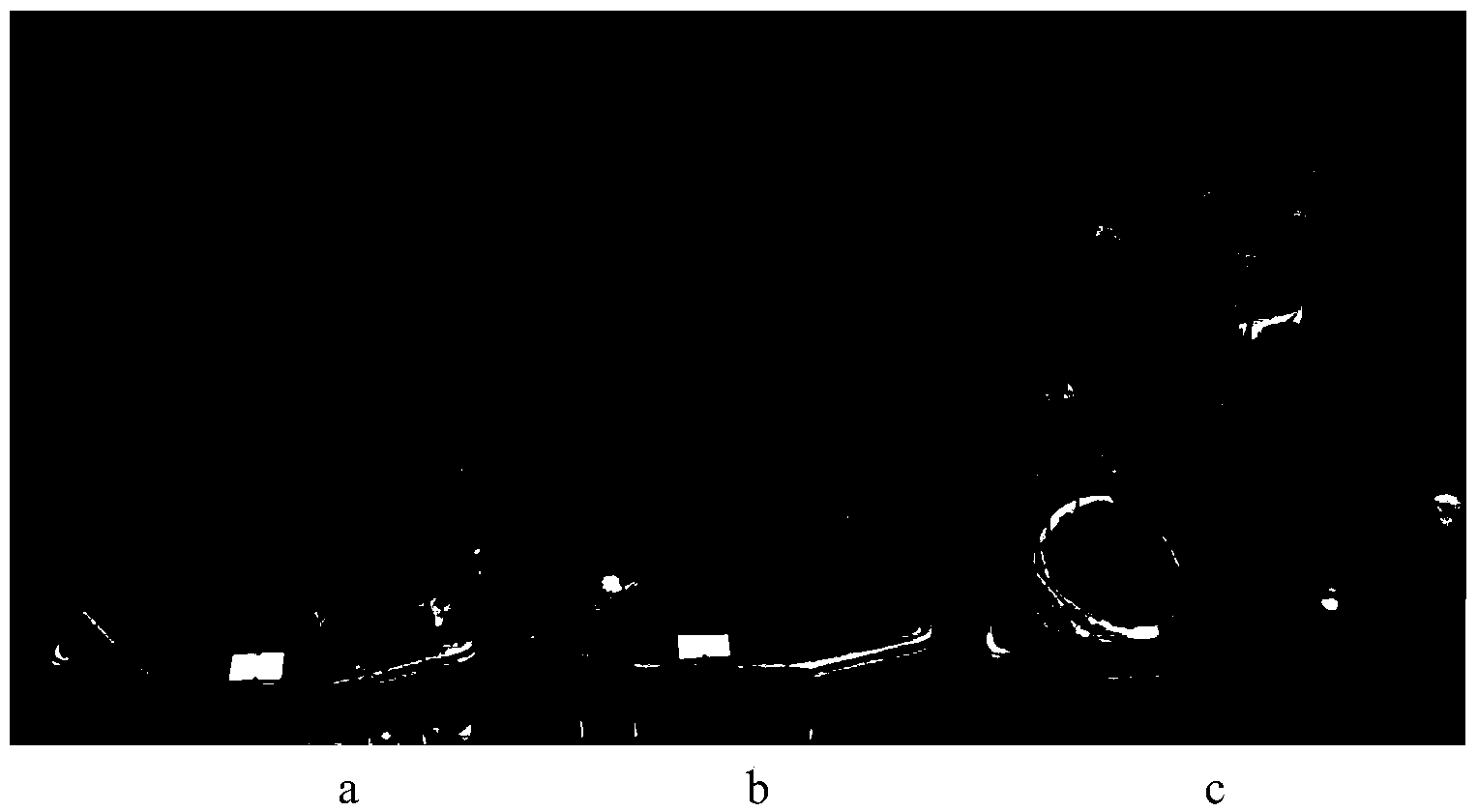 Endophytic fungi CEF-193 of cotton and application thereof