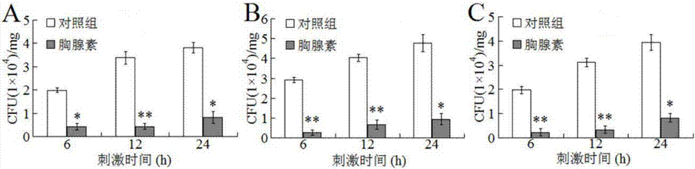 Trachinotus ovatus beta-thymosin and application thereof