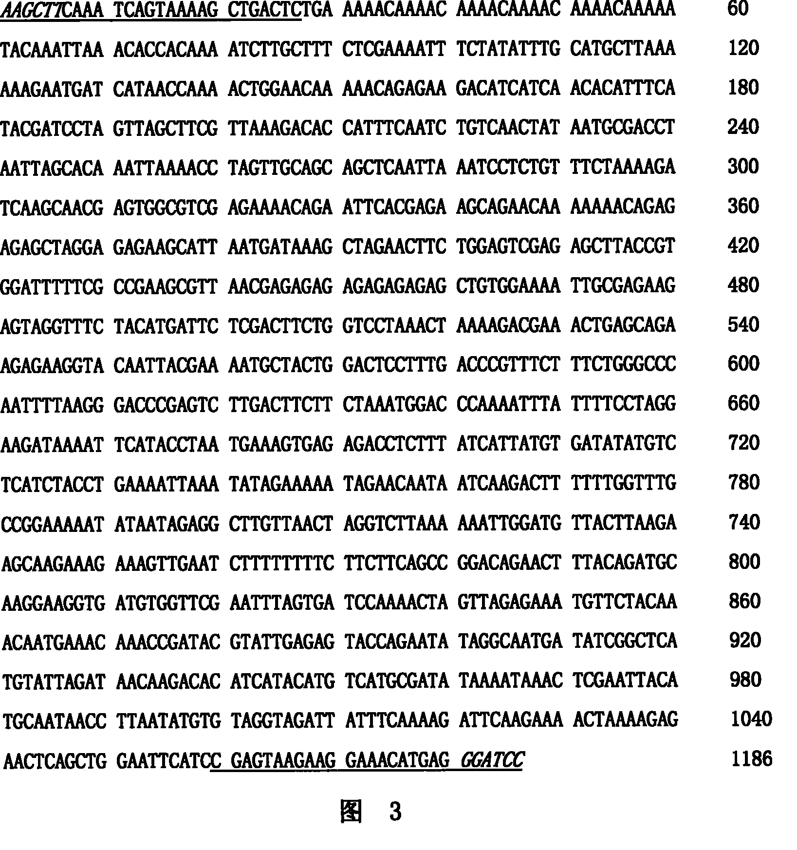 Plants flower pesticide specificity promoter and uses thereof