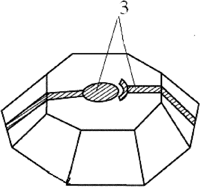 Electrodes for high pressure in situ resistivity survey and manufacturing method of electrodes