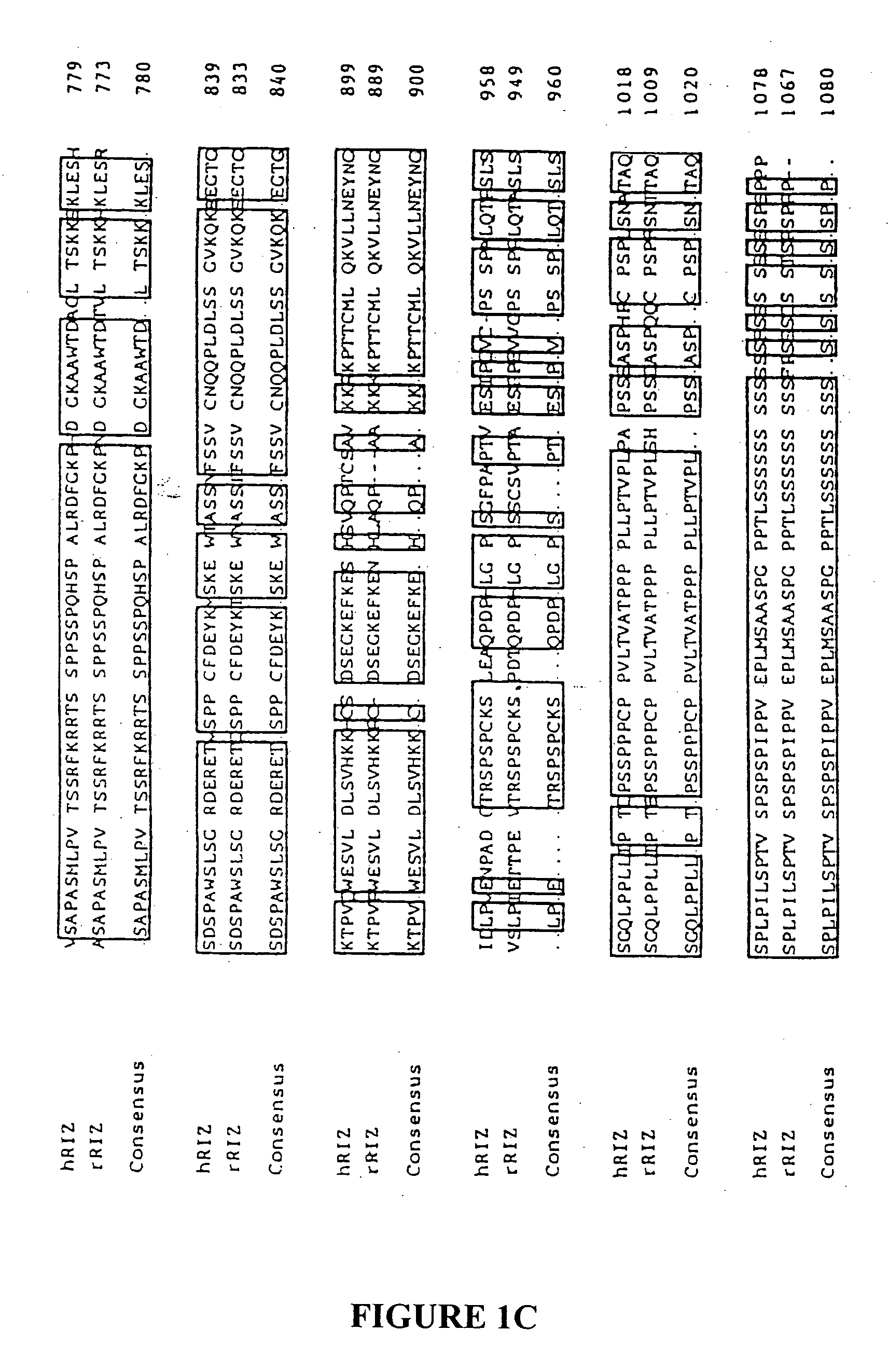 Methods of detecting and treating microsatellite-instability positive tumors using RIZ