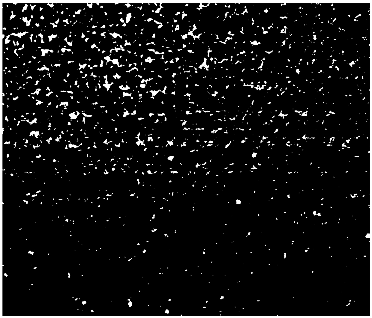 Foamed aluminum supercritical preparation method with controllable hole diameters