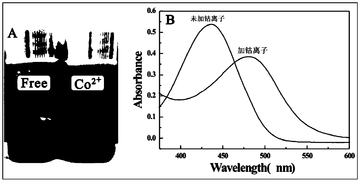 Preparation and application of a kind of 6-chloro-3-[(2-hydroxy-4-diethylaminobenzylidene)amino]coumarin