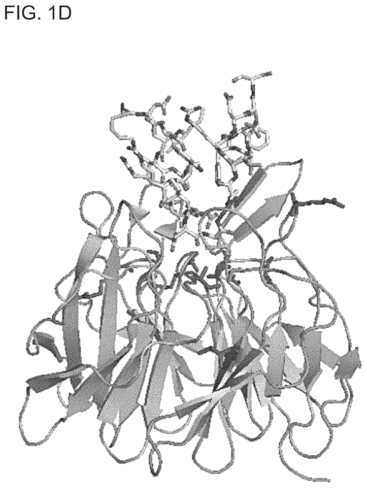 Methods for diagnosing and treating cancer by means of the expression status and mutational status of NRF2 and downstream target genes of said gene