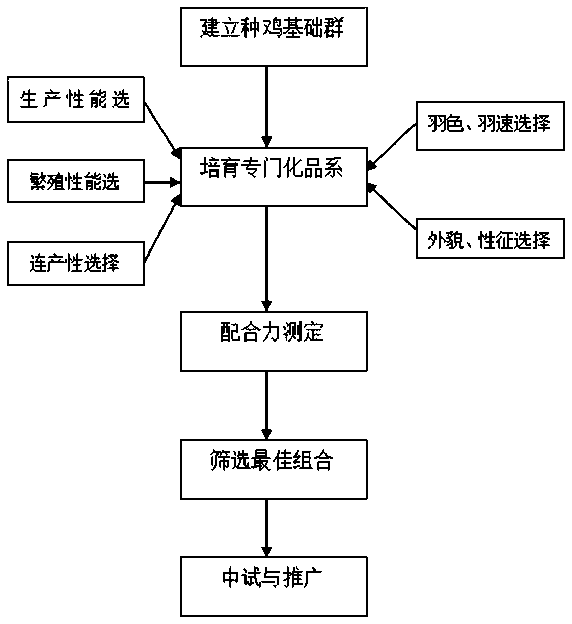 Hybrid production method of high-egg-yield and grain-saving laying chickens