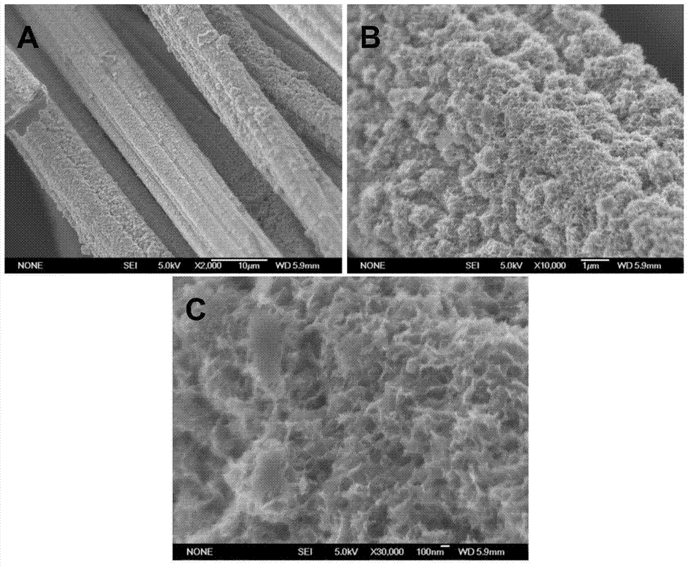 A kind of carbon fiber supported cobalt sulfide nanosheet catalyst and its application