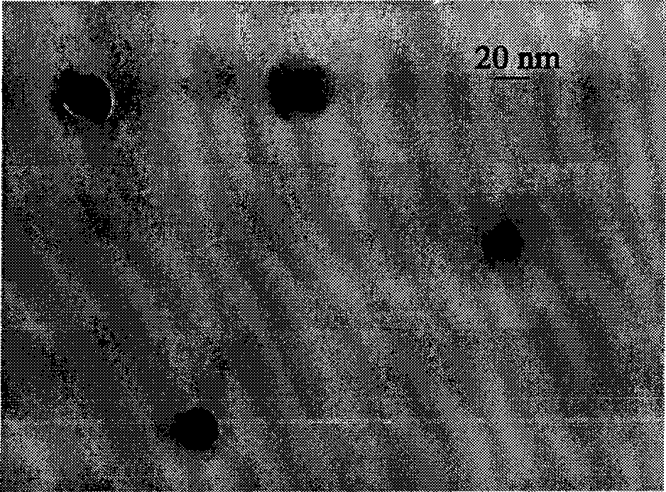 Magnetic fluorescent composite nanoparticle, as well as preparation and use thereof