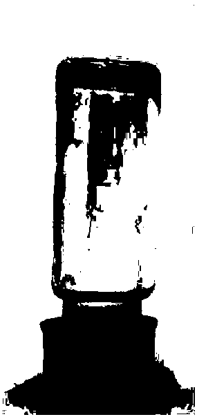 Preparation method of photo-controlled degradable hydrogel